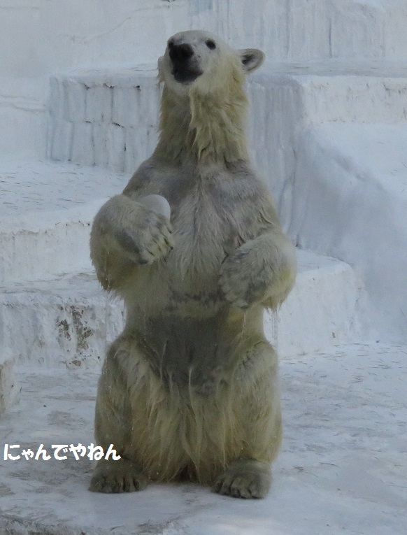 4月24日(日)_f0002743_0104052.jpg