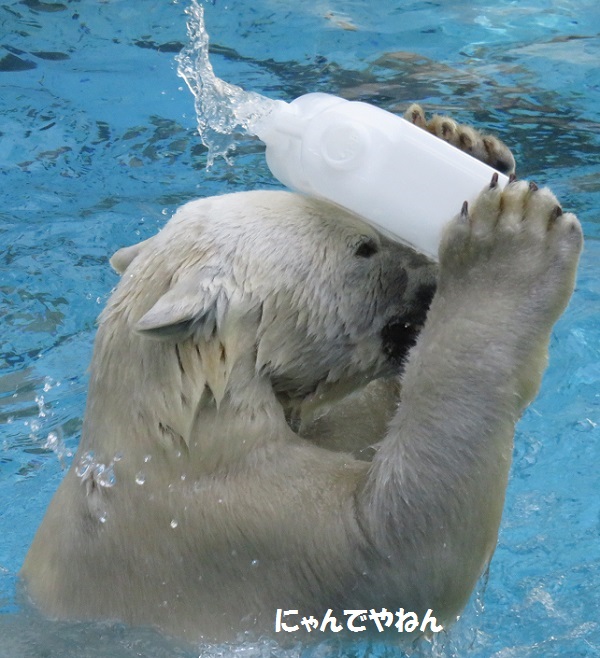 4月24日(日)_f0002743_094042.jpg