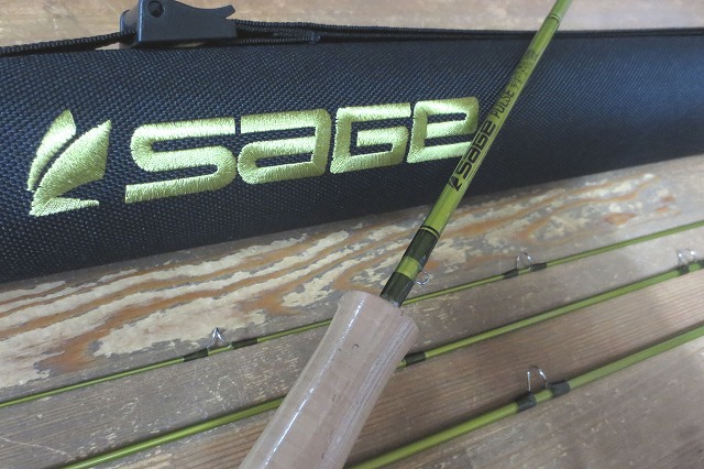 SAGE(セージ)PULSE(パルス)入荷!! : アンパラなブログ SAGE(セージ)PULSE(パルス)入荷!! : アンパラなブログ