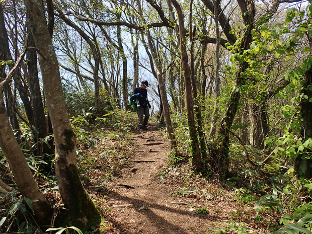ギフチョウとお友達・大江高山③_f0214649_4322888.jpg