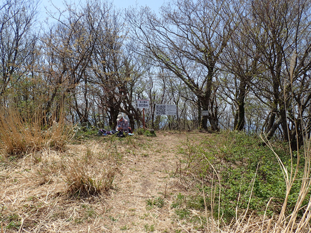 ギフチョウとお友達・大江高山③_f0214649_4445744.jpg