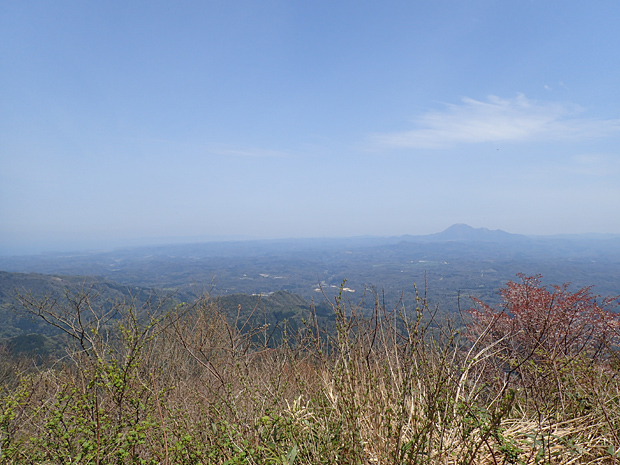 ギフチョウとお友達・大江高山③_f0214649_4464266.jpg