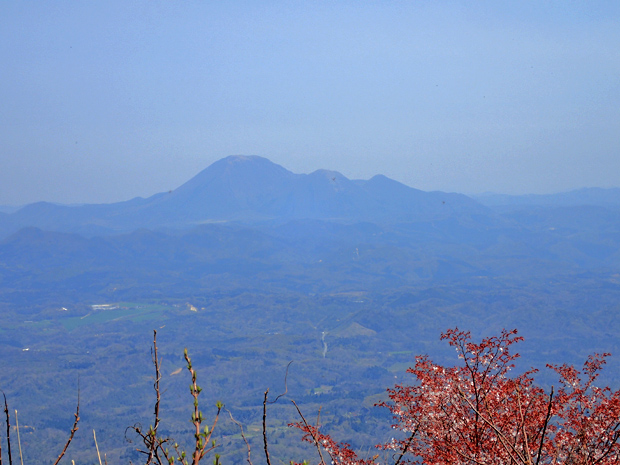 ギフチョウとお友達・大江高山③_f0214649_4465633.jpg