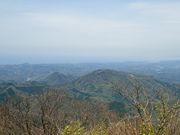 ギフチョウとお友達・大江高山③_f0214649_4505854.jpg