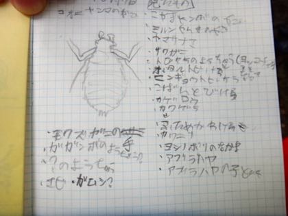 2016年度「もりのこ」年間活動予定&新規参加者募集_e0256851_23391554.jpg