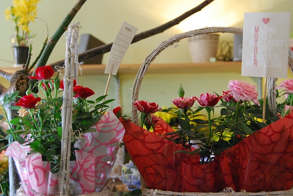 a0201358_19182858.jpg