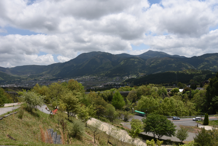 e0171573_2313154.jpg