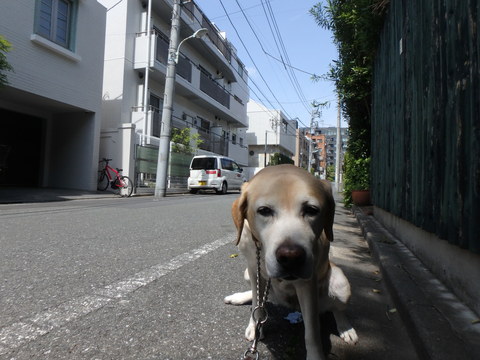f0052277_030406.jpg