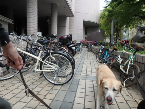 f0052277_039118.jpg