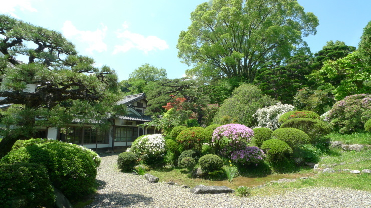 今治市～松山市～大洲市～宇和島市～八幡浜_c0212083_20122295.jpg