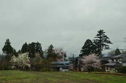 五箇山合掌造り_c0229483_042712.jpg