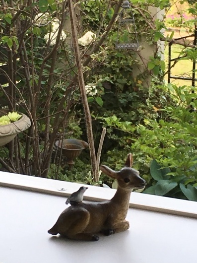 b0336787_17295109.jpeg