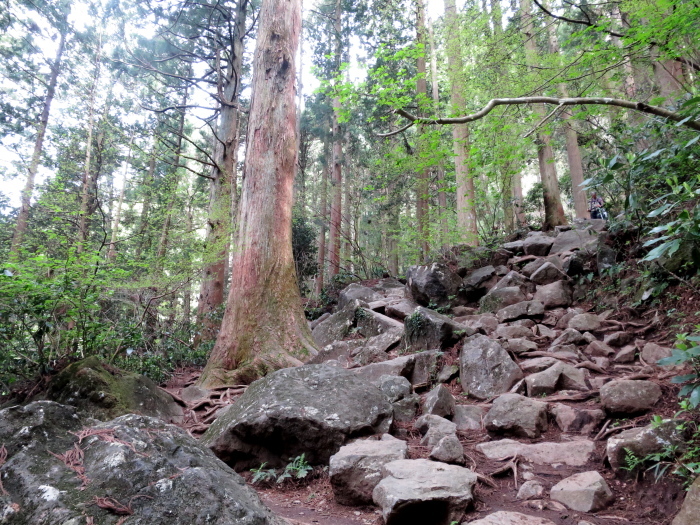b0339488_22263849.jpg