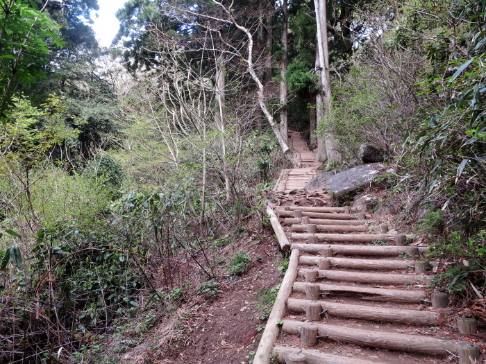 b0339488_22263860.jpg