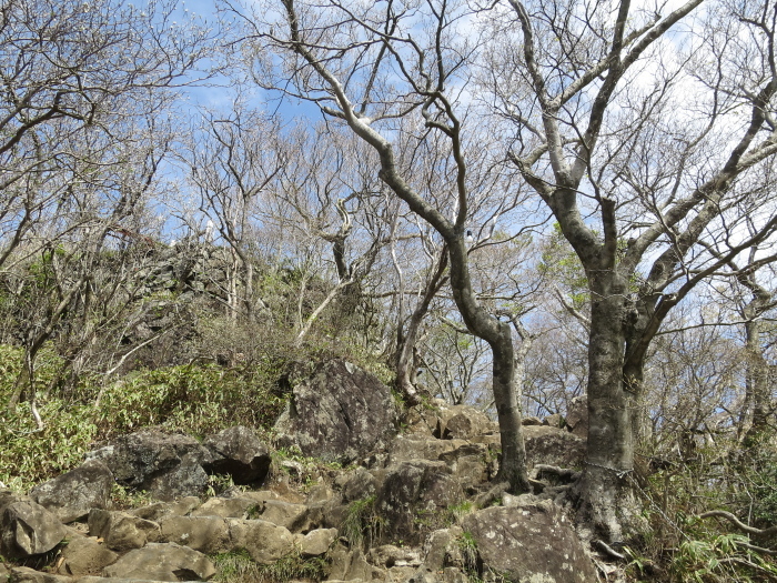 b0339488_22270441.jpg