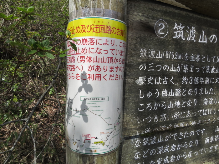 b0339488_22272940.jpg
