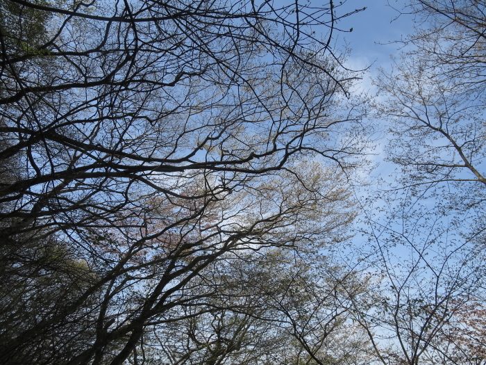 b0339488_22272978.jpg