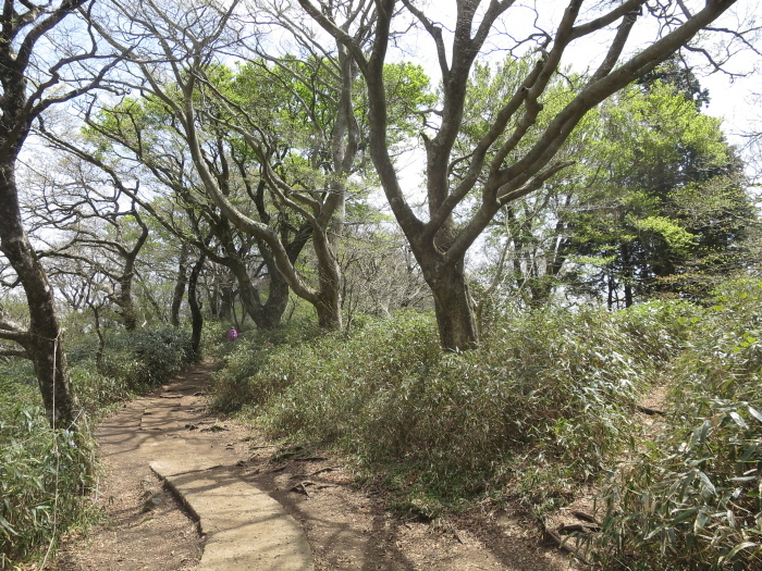 b0339488_22274946.jpg