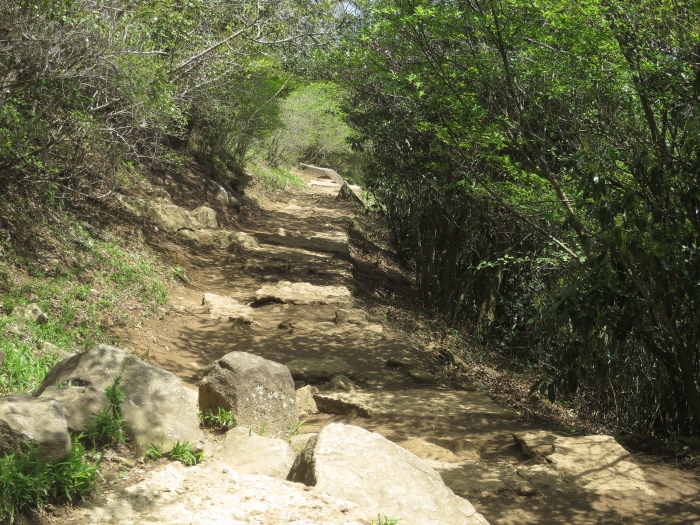 b0339488_22275060.jpg