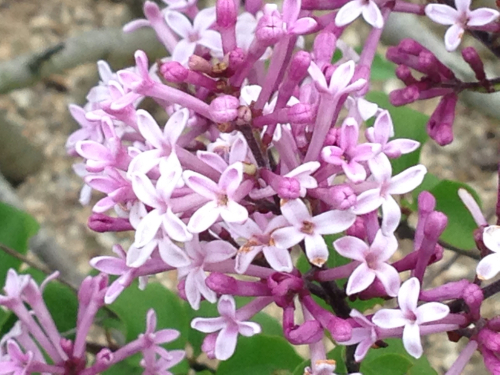 c0139090_22591771.jpg