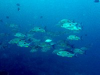 f0079996_191567.jpg