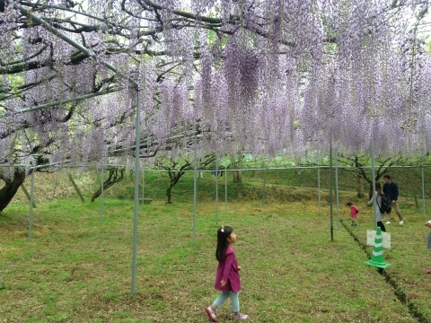 d0157497_14552004.jpeg