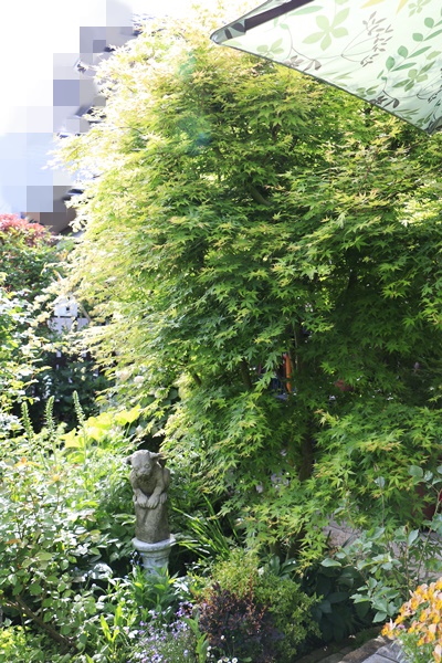 a0123003_21483669.jpg