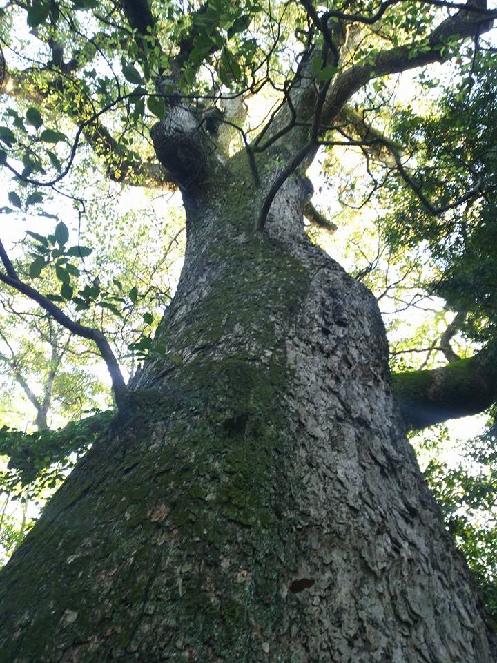 f0276708_11323779.jpg