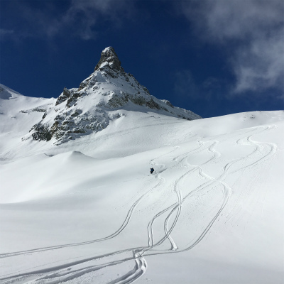 2016年4月『雪と氷の峰々-アルプス・オートルート①』April 2016 \"Re-challenge of Alps Haute Route①\"_c0219616_9563917.jpg