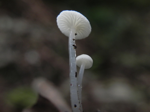 e0352220_23305026.jpg