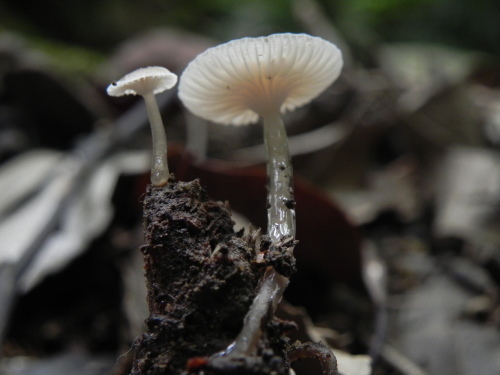 e0352220_23324746.jpg