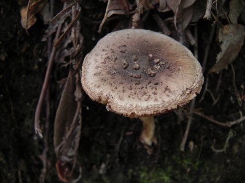 e0352220_23405034.jpg