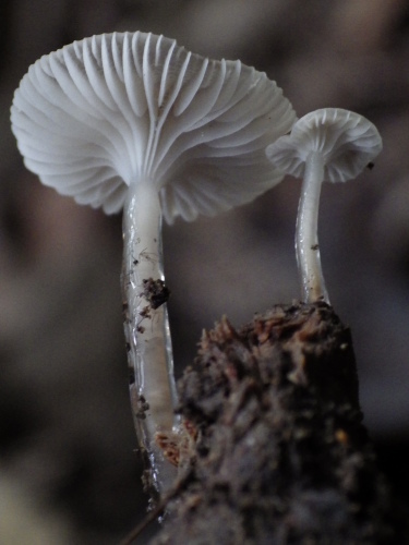 e0352220_23532852.jpg