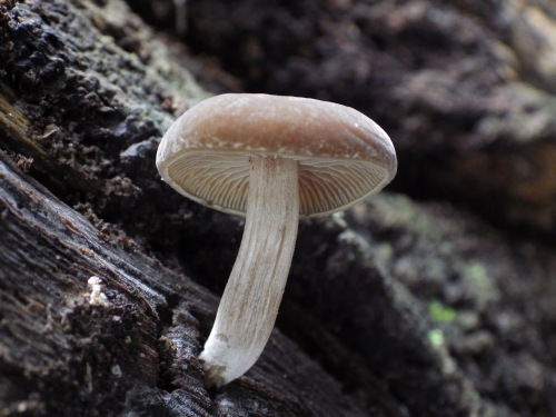 e0352220_23555311.jpg