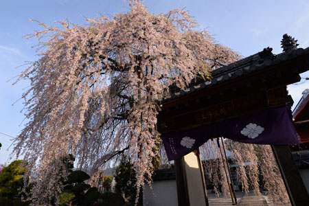 b0199522_2014137.jpg