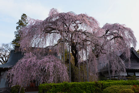 b0199522_2014620.jpg