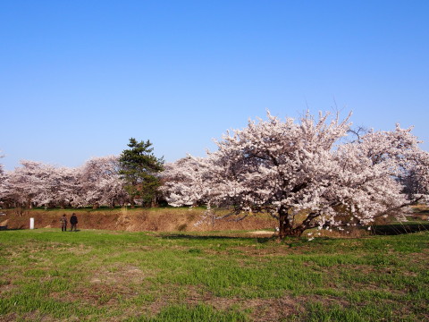 b0147224_2326384.jpg