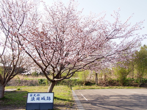 b0147224_23281773.jpg