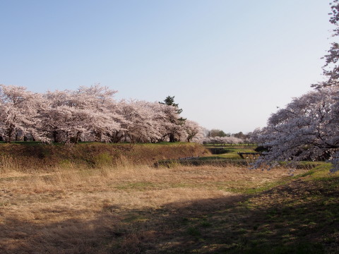 b0147224_23303350.jpg