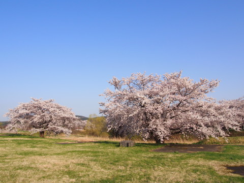 b0147224_23311668.jpg