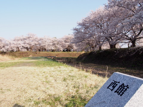 b0147224_2332387.jpg