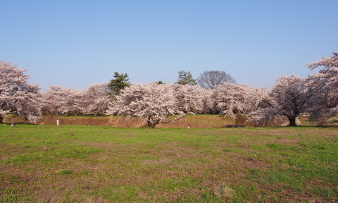 b0147224_2335110.jpg
