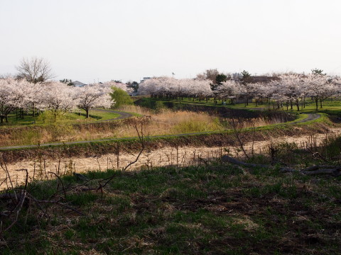 b0147224_23374324.jpg