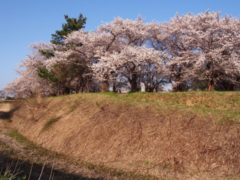 b0147224_2339575.jpg