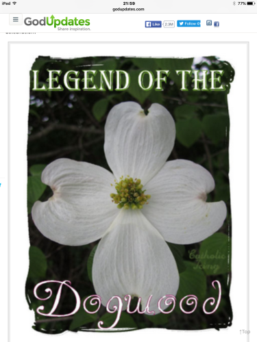 悲しい伝説を持つハナミズキ Side Discussion