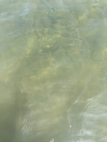 d0184129_23064285.jpeg
