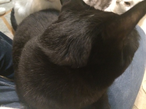 f0223329_01575514.jpeg