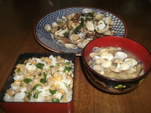 アサリ&アサリのランチ...花の名前は難しい_b0137932_1240128.jpg