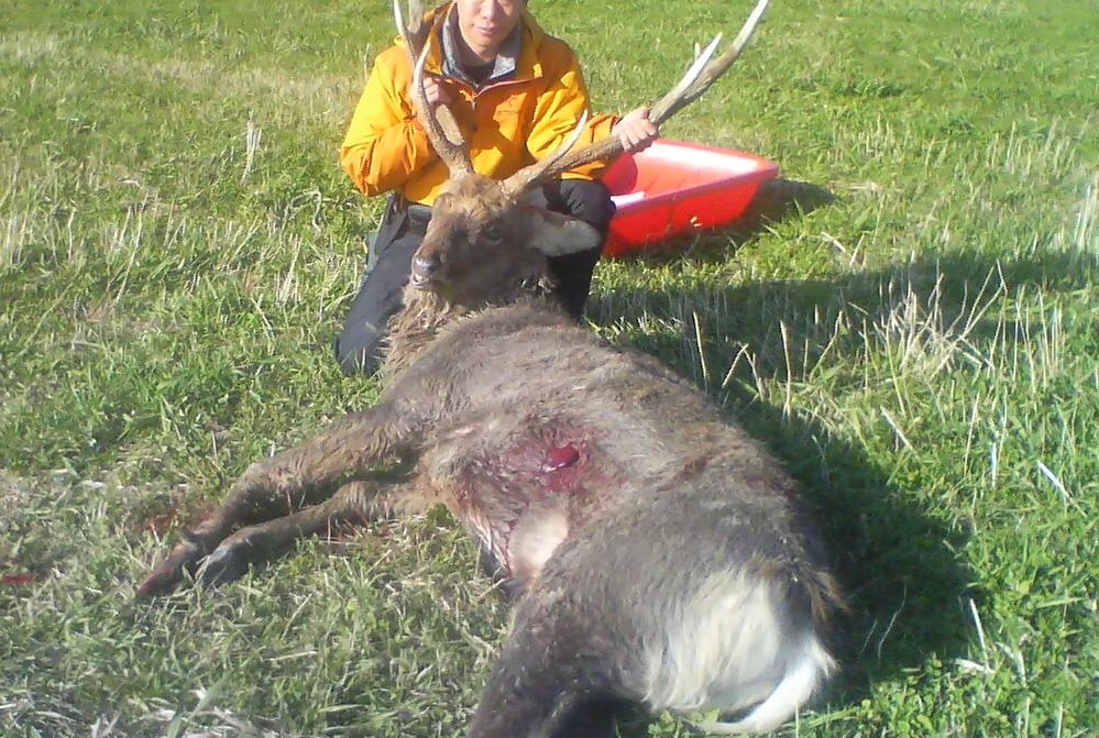 2011年10月北海道 蝦夷鹿猟1日目 超大物ランニングターゲット ぐり高原の食卓