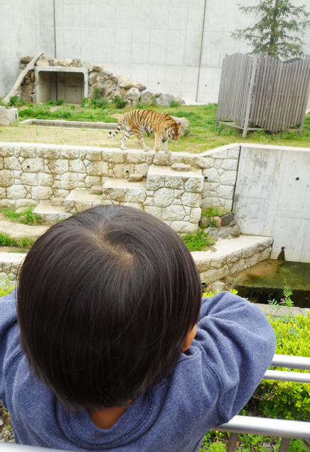 子供と過ごす休日_d0351435_16112612.jpg
